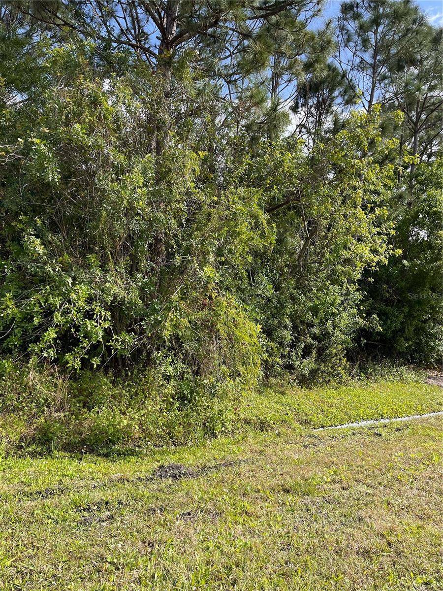 Summerfield, FL 34491,0 SE 44TH AVE