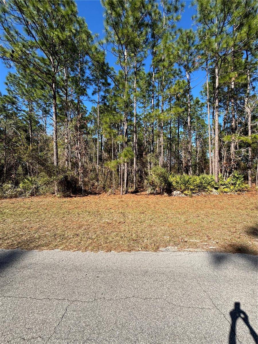 Ocala, FL 34473,Lot 5 SW 138 STREET RD