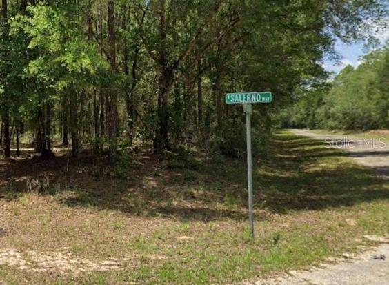 Dunnellon, FL 34434,425 E MCFADDIN PL