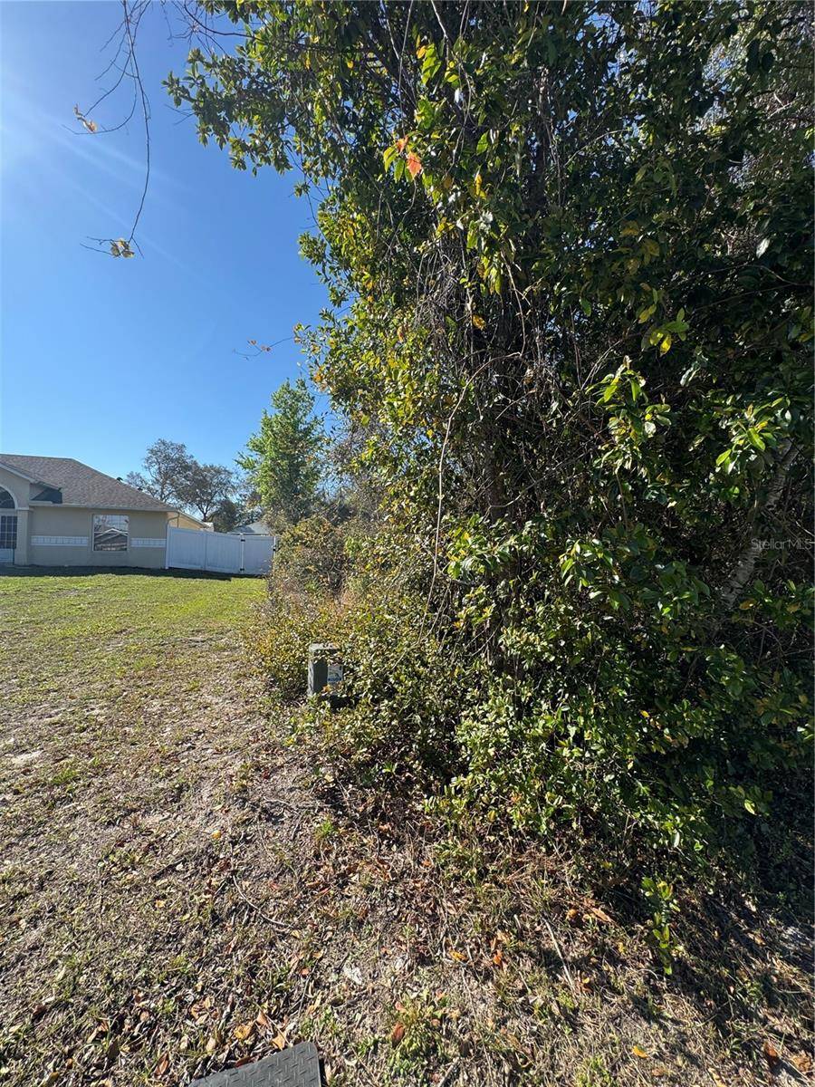 Deltona, FL 32725,1327 CATALINA BLVD