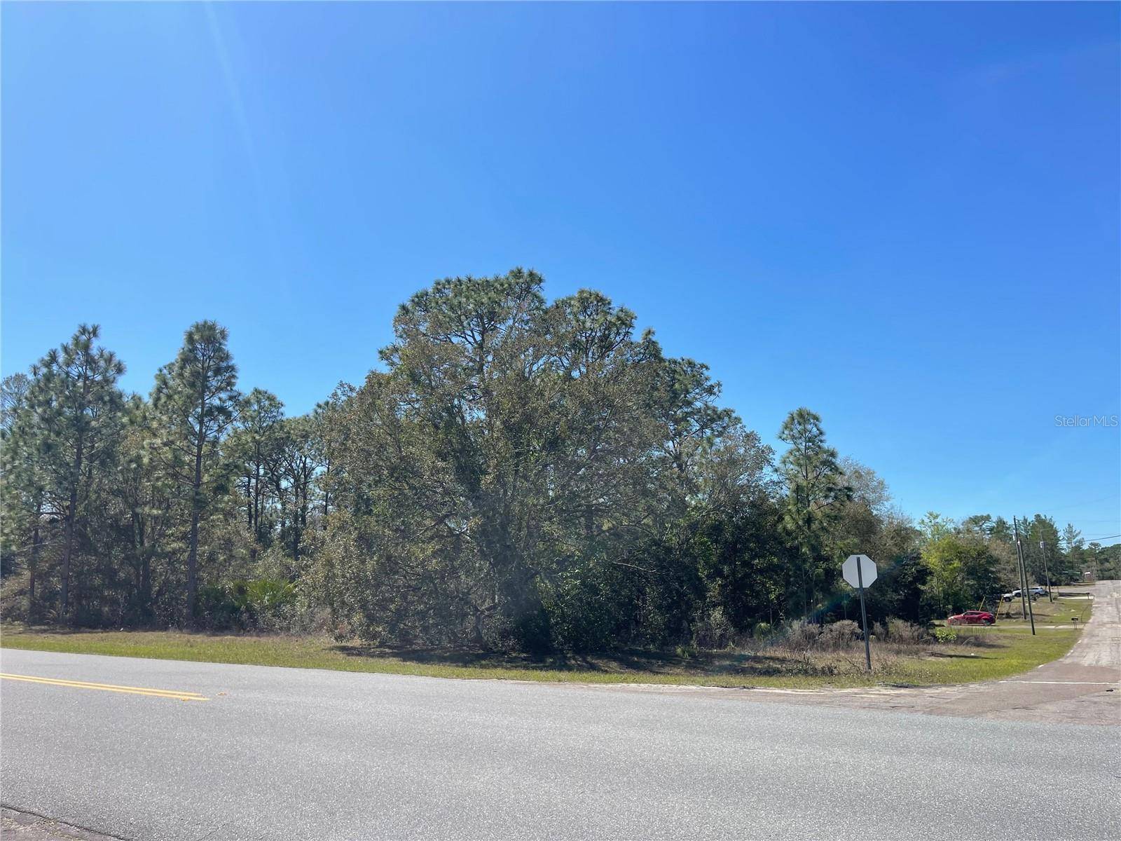 Citrus Springs, FL 34433,2766 W LAREDO DR