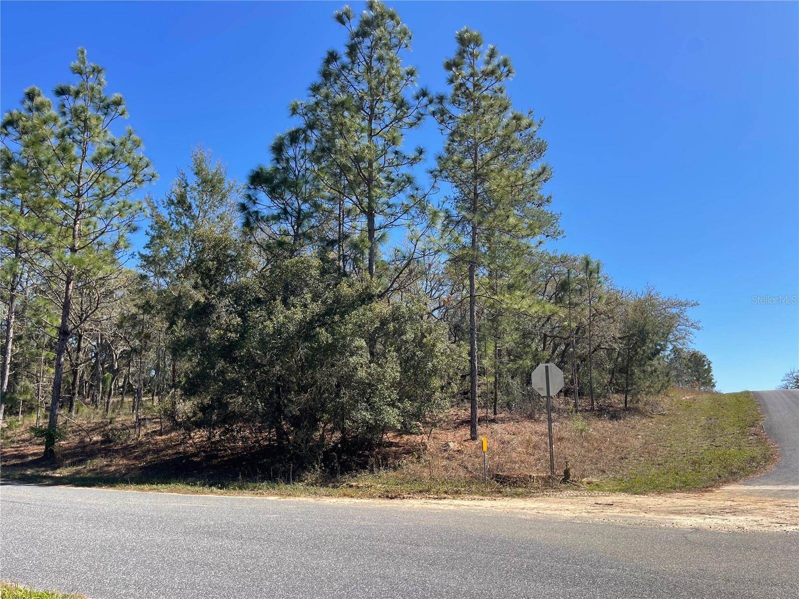 Dunnellon, FL 34433,6715 N AIRMONT DR