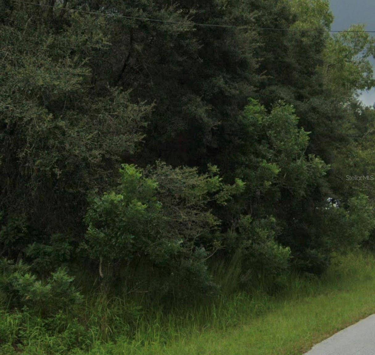 Ocala, FL 34472,WILLOW ROAD
