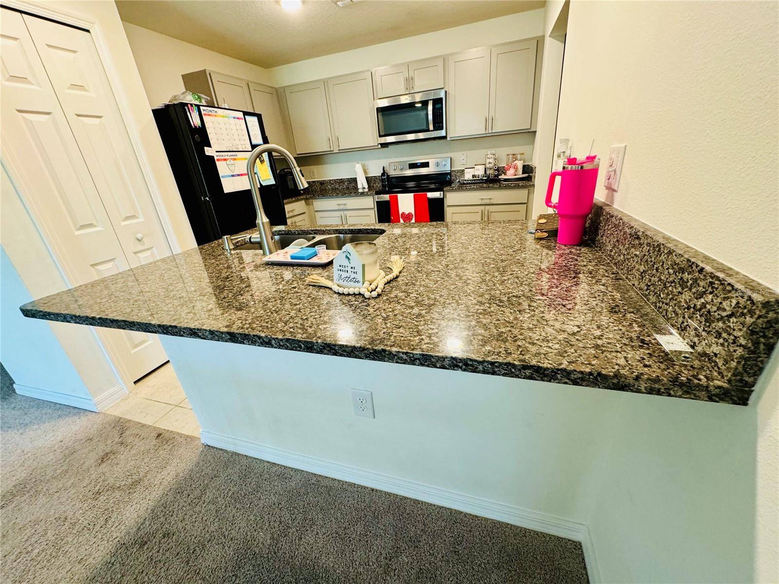 Haines City, FL 33844,417 PATRICIA ALFORD DR