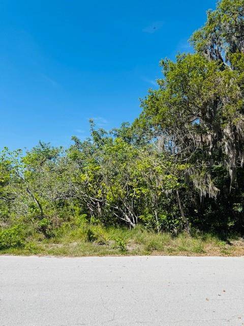 Leesburg, FL 34748,WOODBINE LN