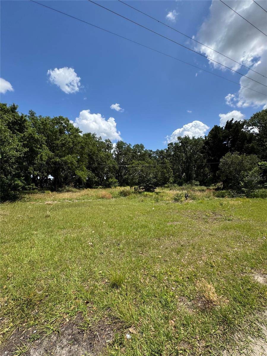 Plant City, FL 33567,4202 DRAWDY RD
