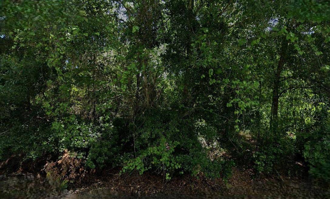 Sebring, FL 33875,6810 VANDA PL