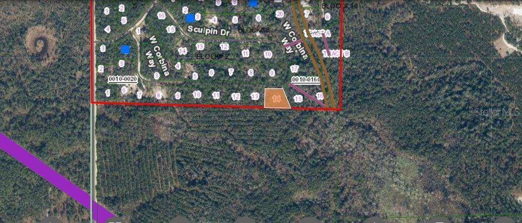 Florahome, FL 32140,121 CORBINA WAY W