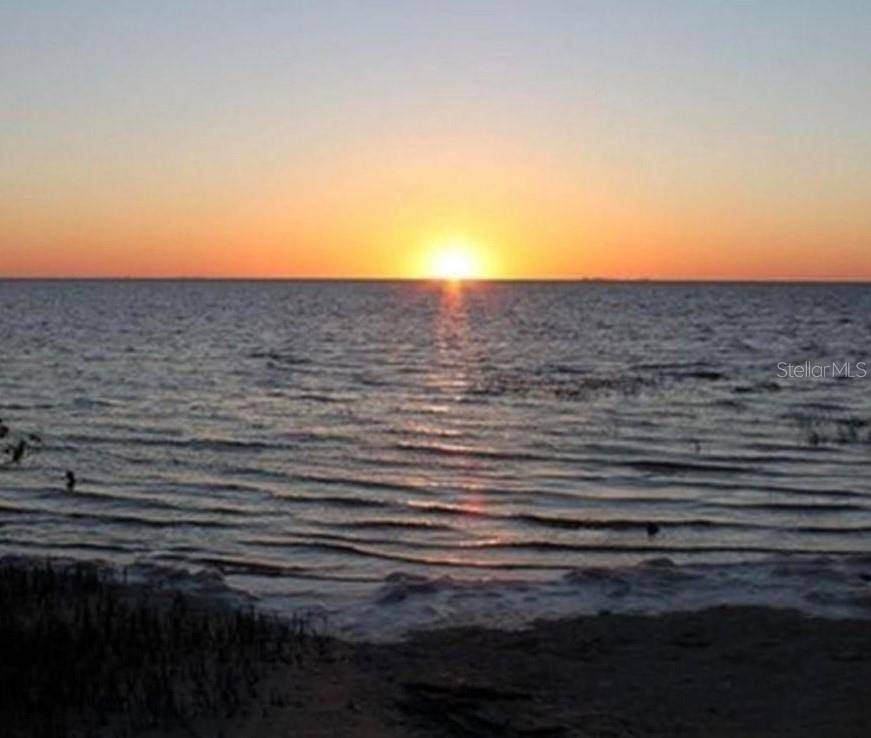 Tarpon Springs, FL 34689,FLORIDA AVE