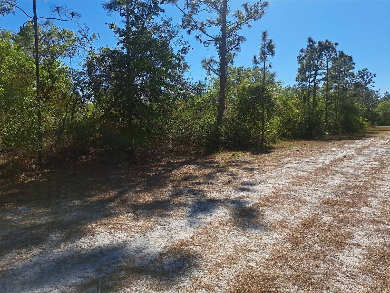 Indian Lake Estates, FL 33855,5 EL DORADO DR