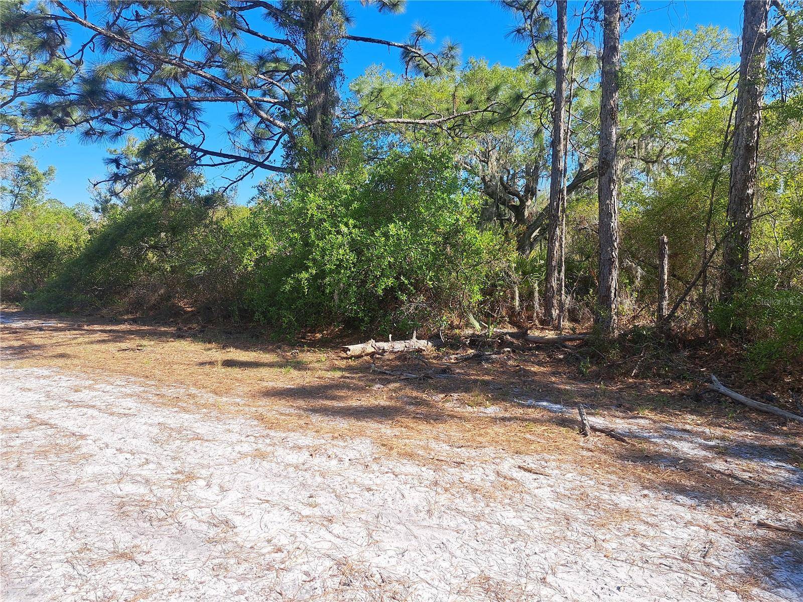 Indian Lake Estates, FL 33855,5 EL DORADO DR