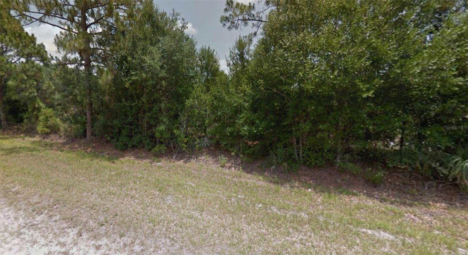 Dunnellon, FL 34432,TBD SW 75TH AVE