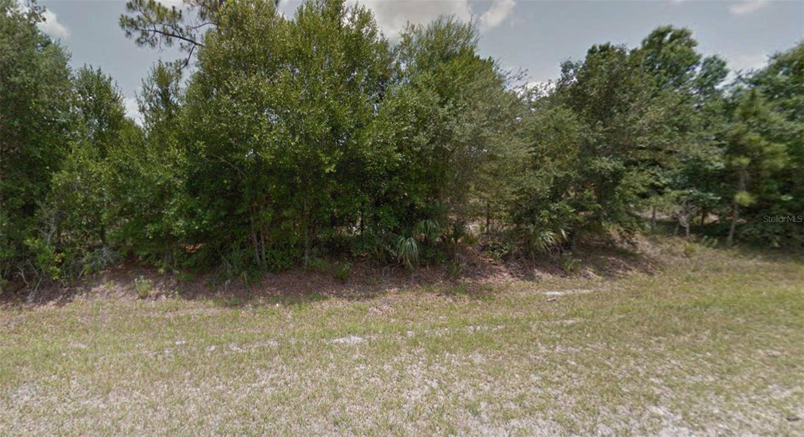 Dunnellon, FL 34432,TBD SW 75TH AVE