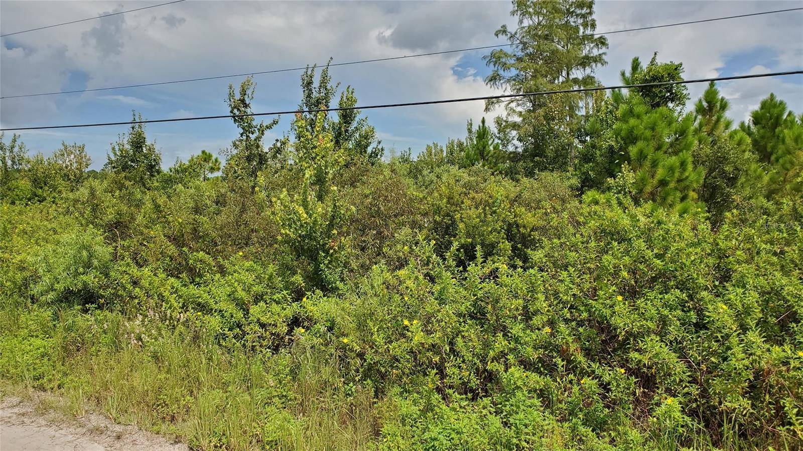 New Smyrna Beach, FL 32168,QUAIL NEST LN