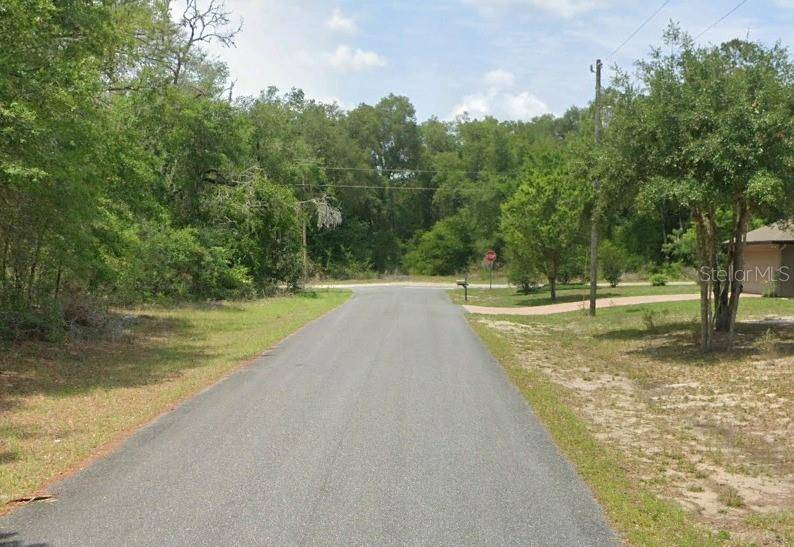 Citrus Springs, FL 34433,11908 MONICA DR