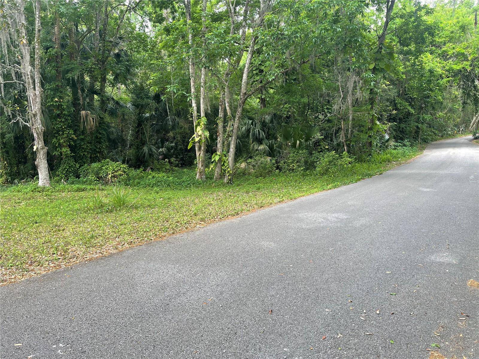 Debary, FL 32713,242 FRASER RD