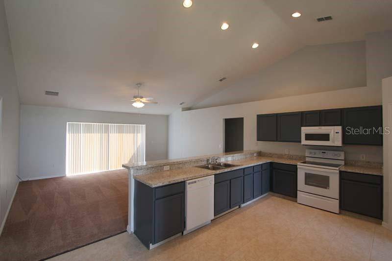 Kissimmee, FL 34759,439 PEACE CT