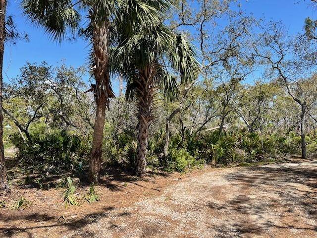 Cedar Key, FL 32625,12190 ANCHOR COVE DR