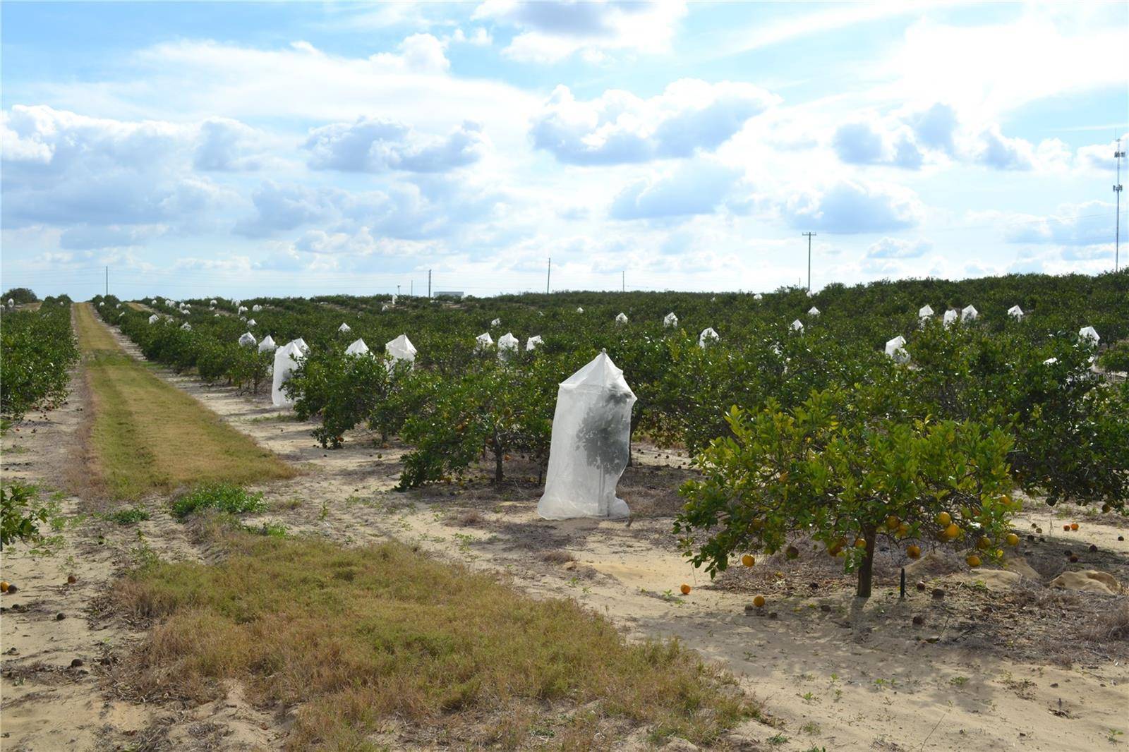 Babson Park, FL 33827,N SCENIC HWY