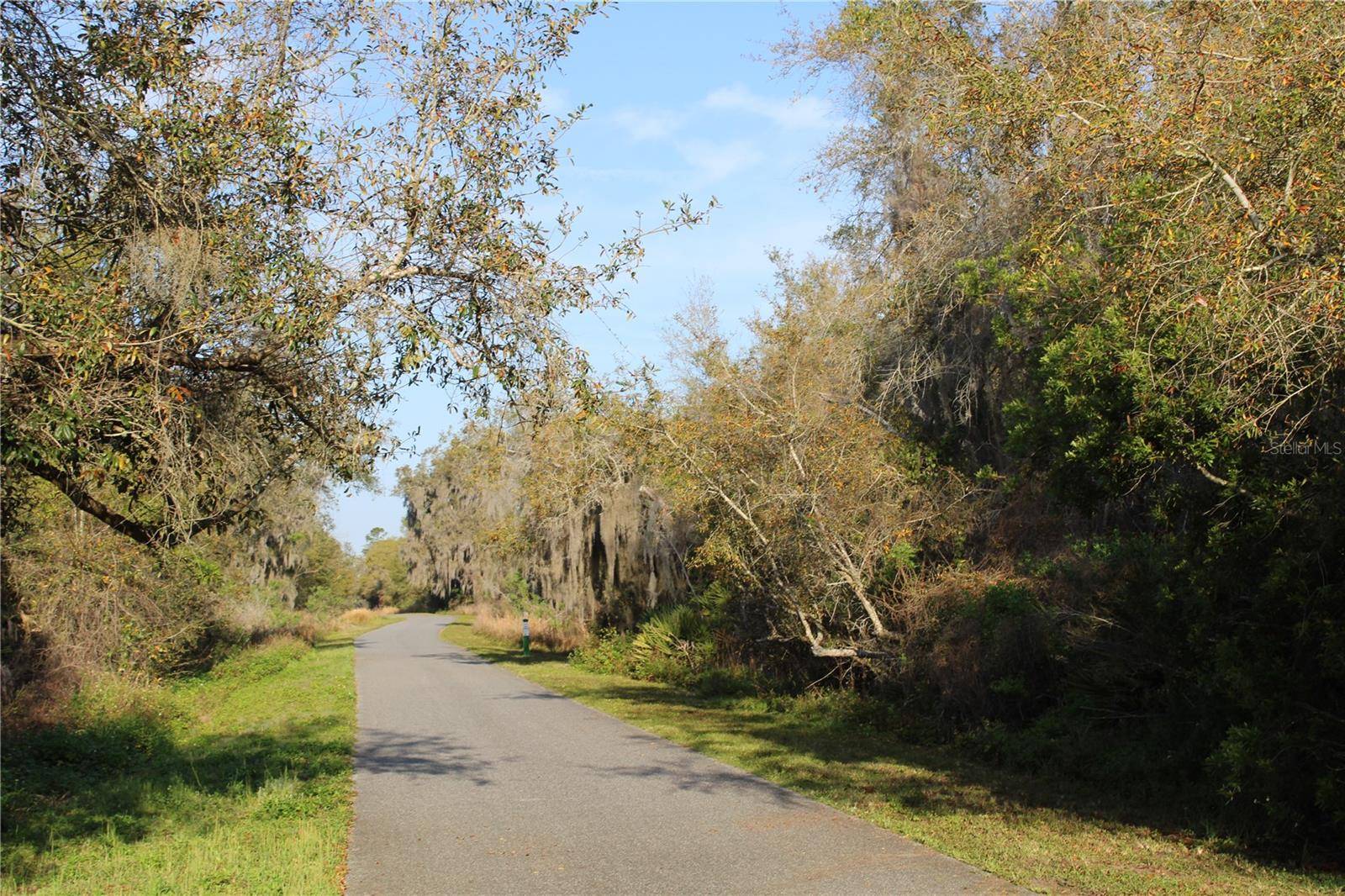 Osteen, FL 32764,DOYLE RD