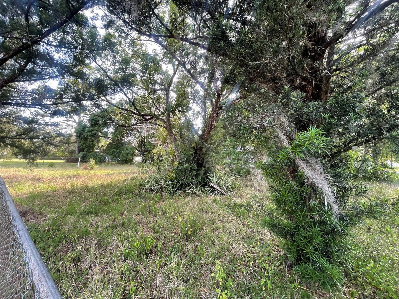 Orlando, FL 32828,1350 SHERMAN ST