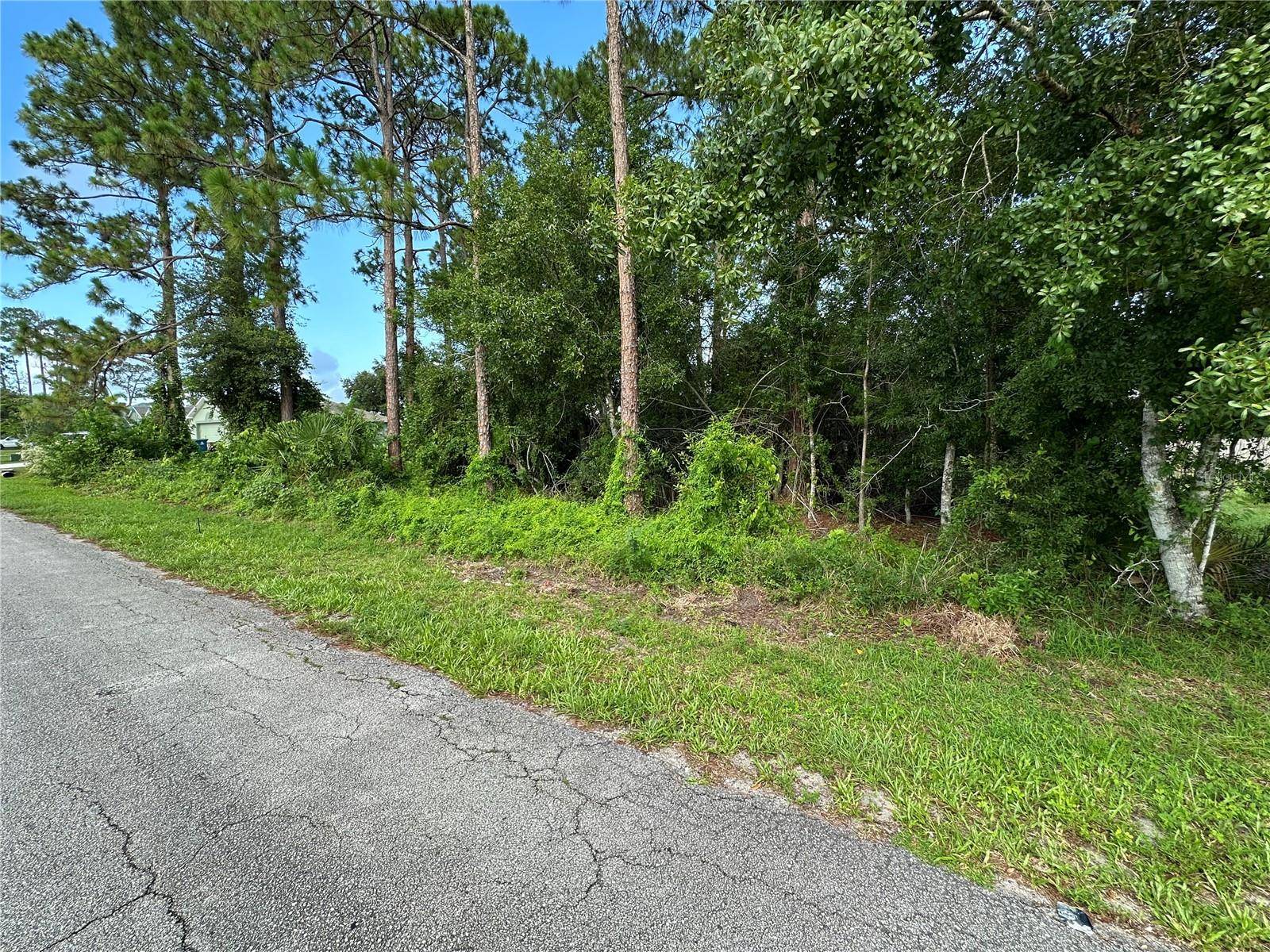 Palm Bay, FL 32907,1338 VATER AVE NW