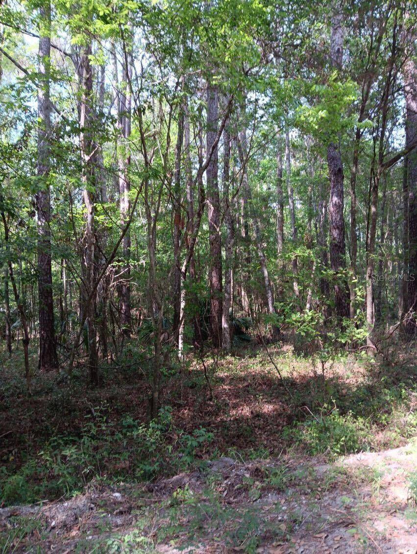 Ocala, FL 34481,0 SW 18 PL