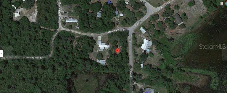 Paisley, FL 32767,MORNING VIEW DR