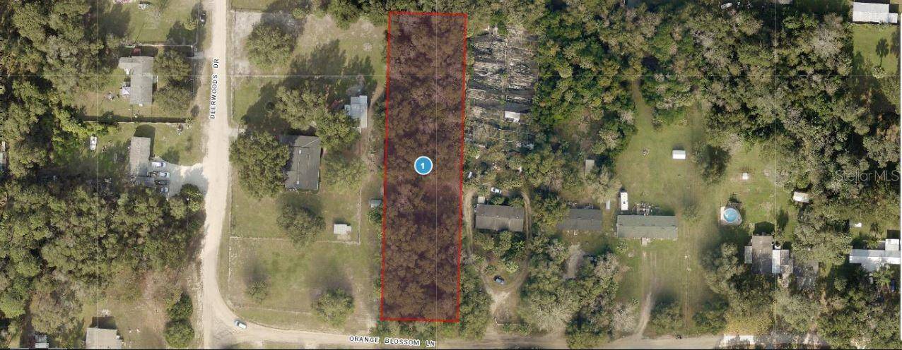 Eustis, FL 32736,ORANGE BLOSSOM LN