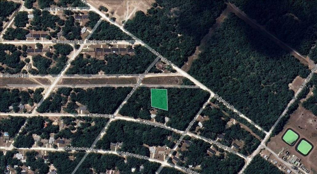 Dunnellon, FL 34432,SAINT PATRICK DR
