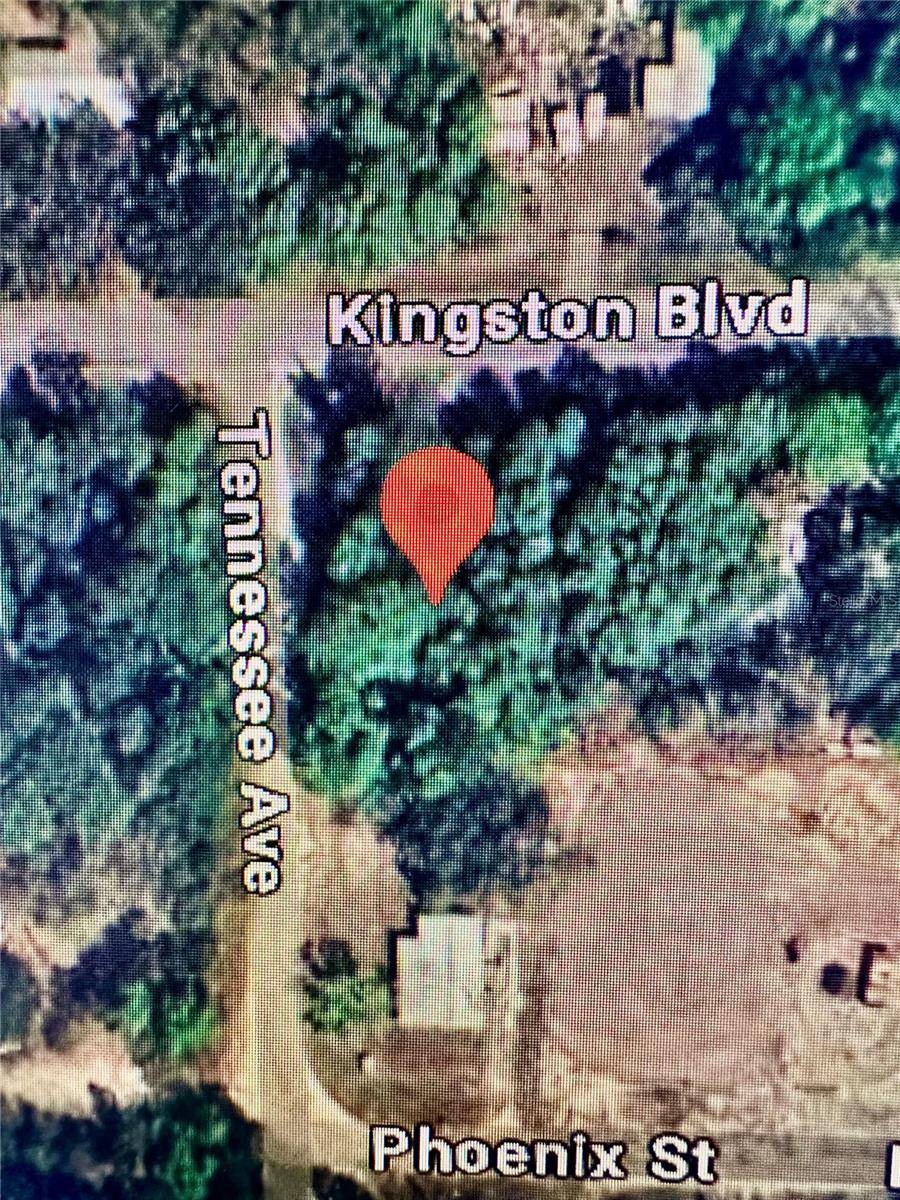 Satsuma, FL 32189,219 KINGSTON BLVD