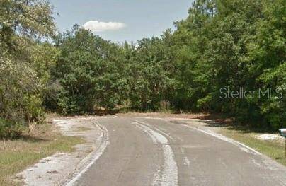 Citrus Springs, FL 34434,2239 W MENORES DR