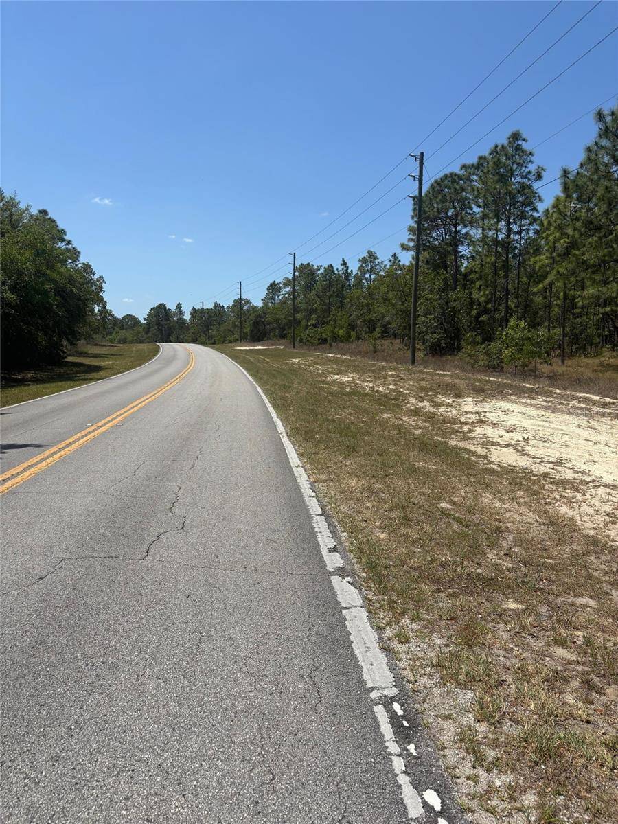 Citrus Springs, FL 34433,10264 N ELKCAM BLVD