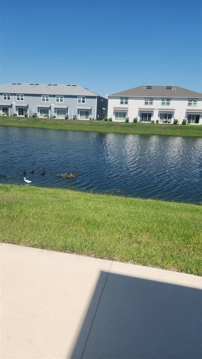 Kissimmee, FL 34746,4762 SPARKLING SHELL AVE