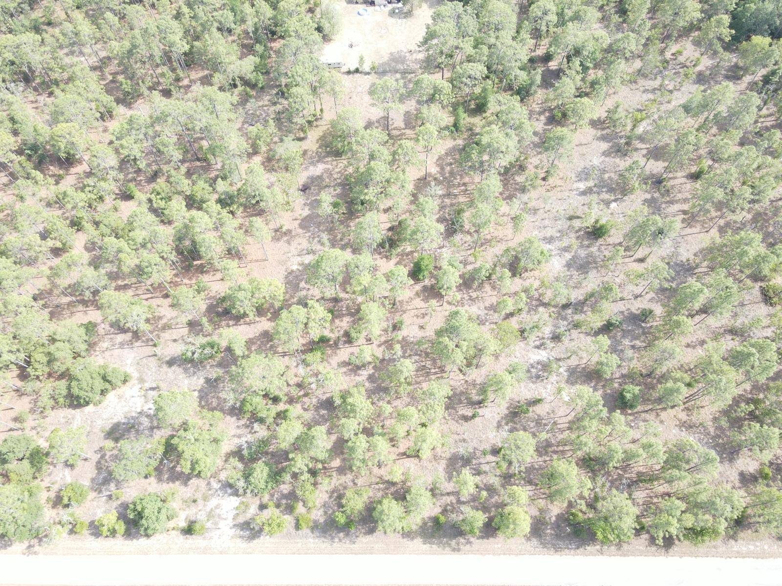 Dunnellon, FL 34431,Lot 20 NW SHAMROCK AVE
