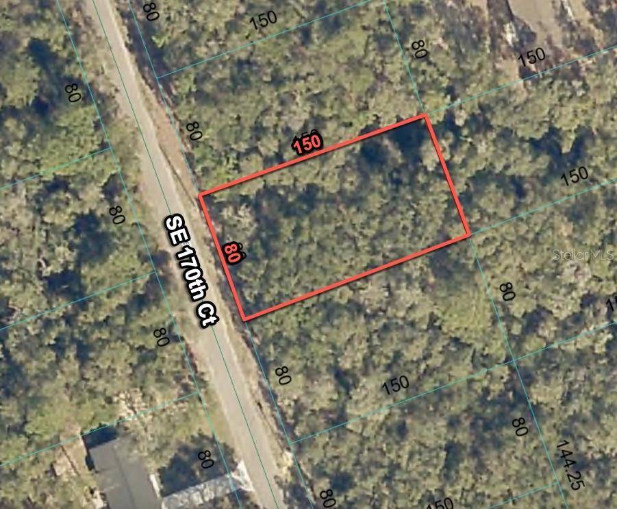 Ocklawaha, FL 32179,5885 SE 170 CT