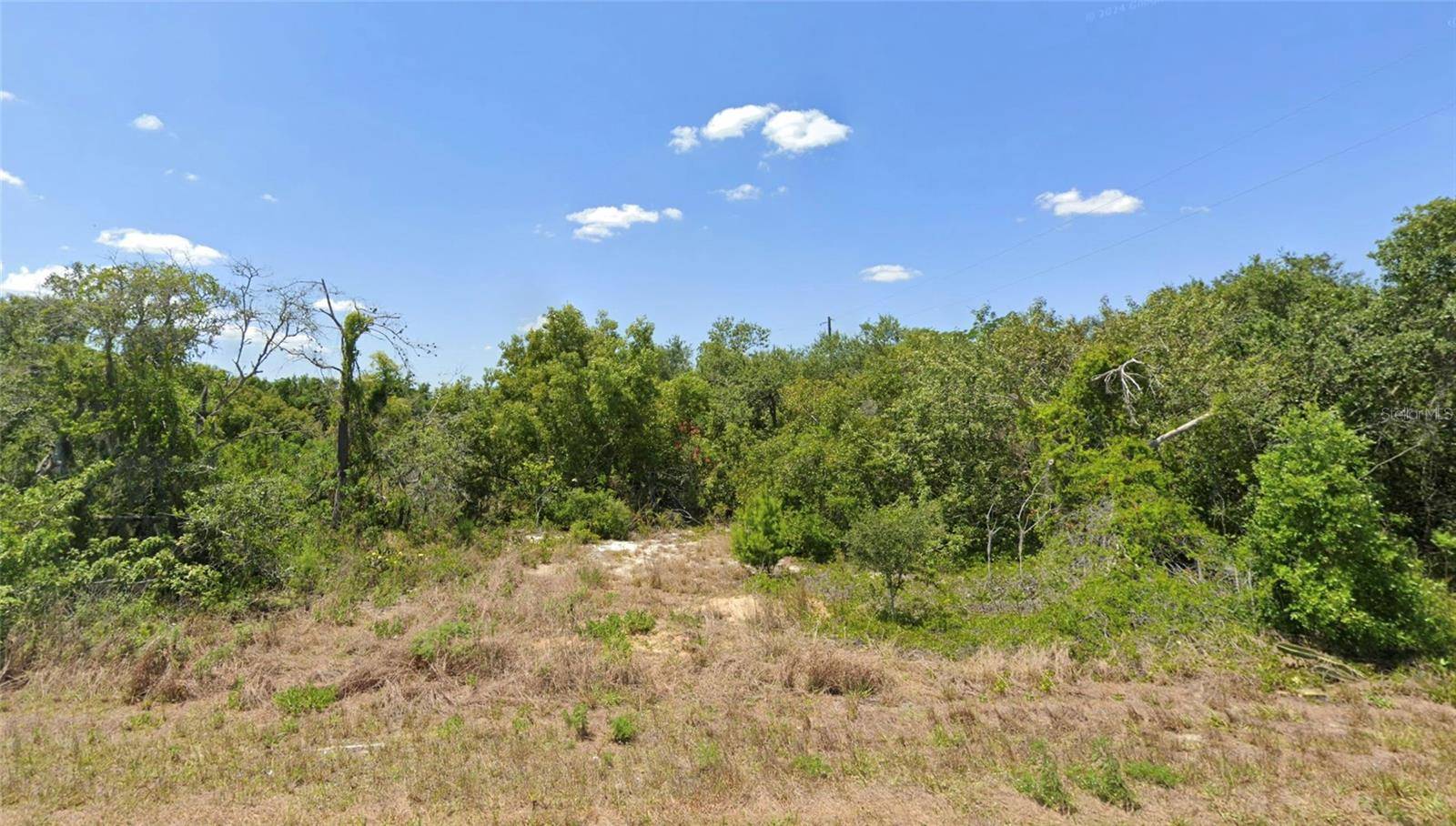 Lake Placid, FL 33852,228 HALLMARK AVE