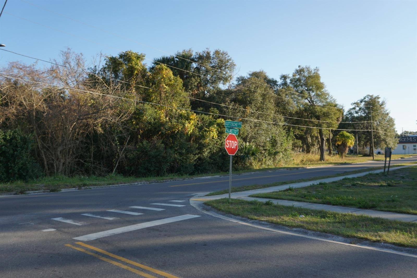 Eustis, FL 32726,PALMETTO ST