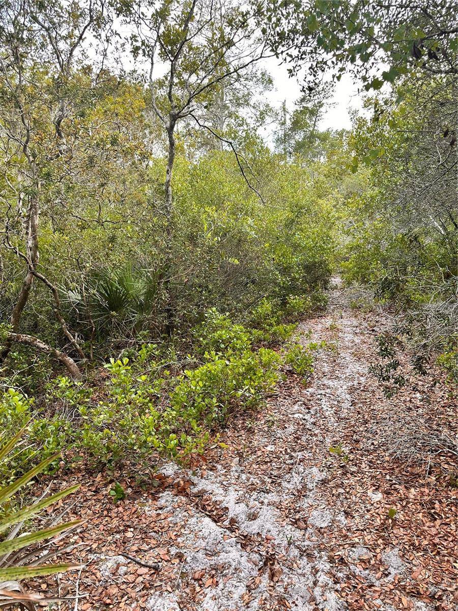 Deltona, FL 32739,PURCELL (PAPER) ST
