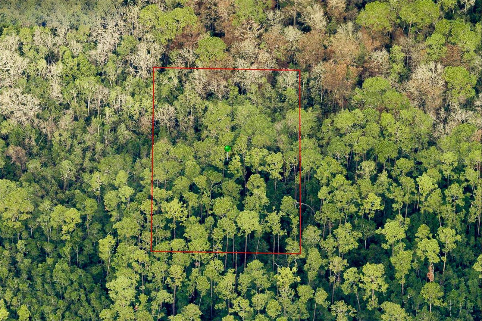Lake Helen, FL 32744,7120-01-12-0030