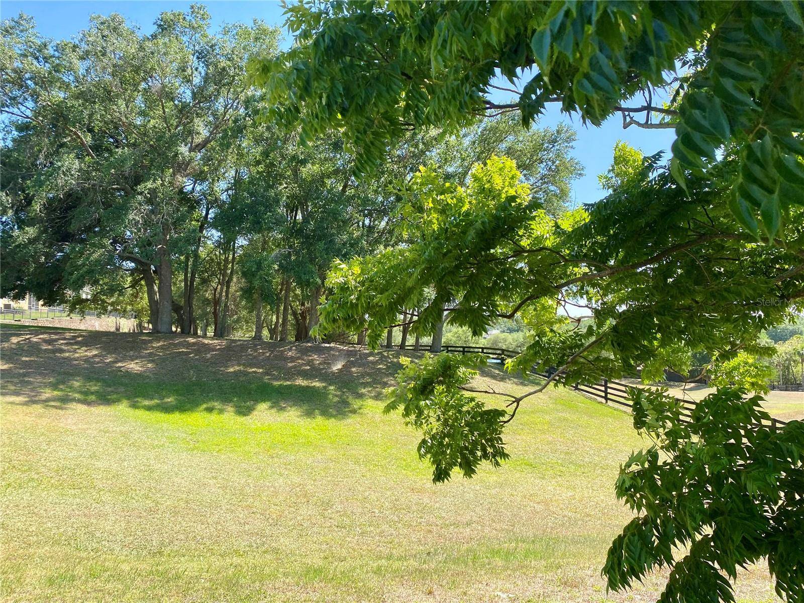 Mount Dora, FL 32757,30732 LIPIZZAN TER