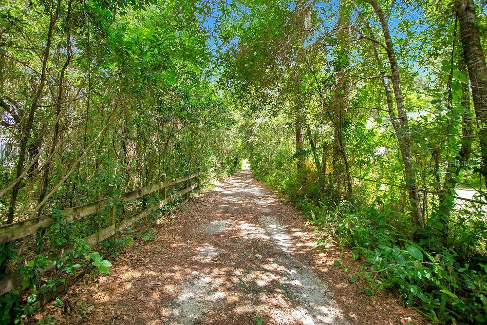 Orlando, FL 32817,8816 TREVARTHON RD