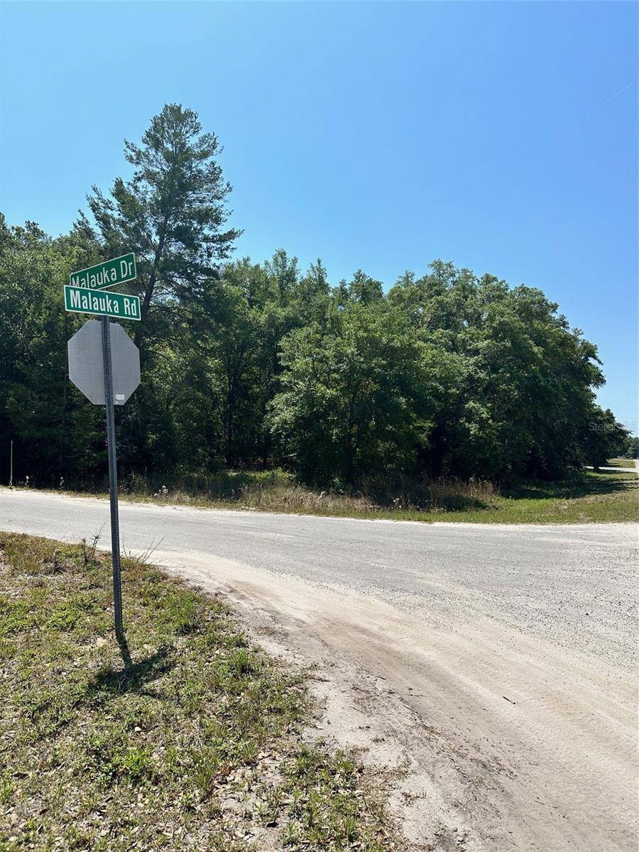 Ocklawaha, FL 32179,TBD MALAUKA RD