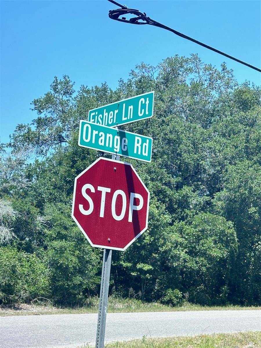 Ocklawaha, FL 32179,TBD ORANGE RD