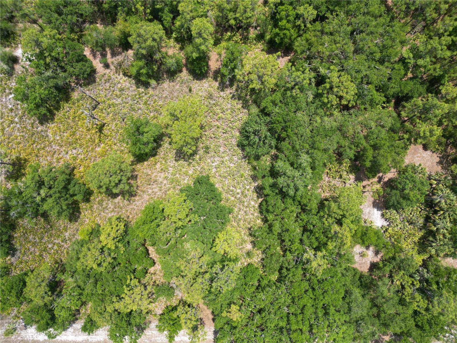 Indian Lake Estates, FL 33855,0 GARDENIA DR