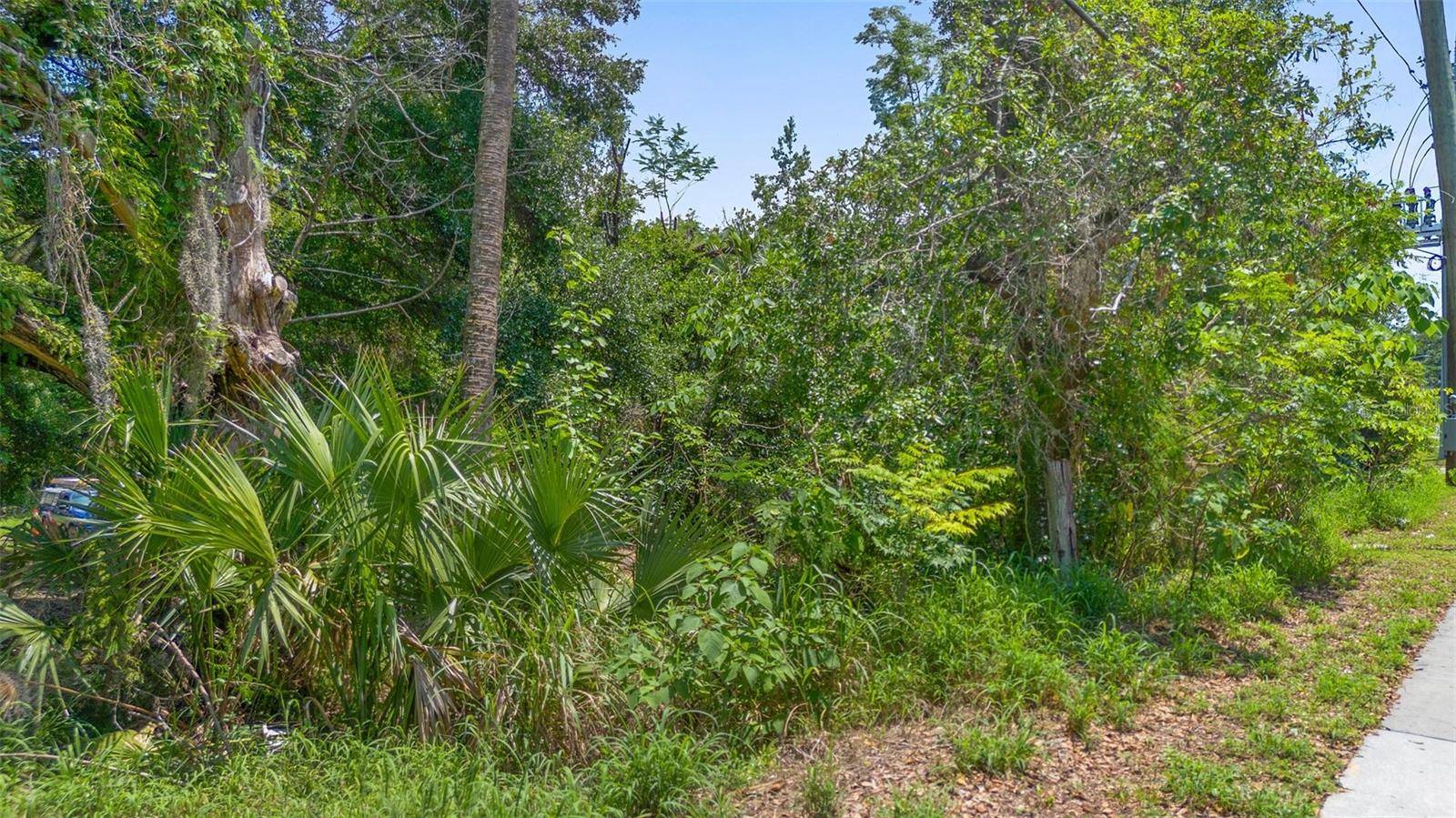 Apopka, FL 32703,1521 CLARCONA RD