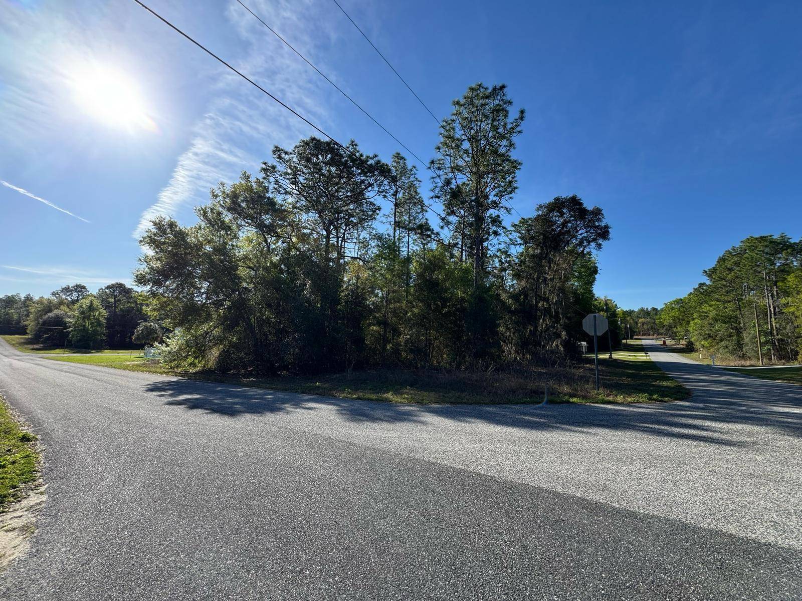 Citrus Springs, FL 34434,Address not disclosed