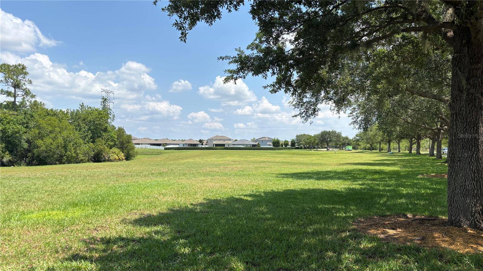 Orlando, FL 32824,1131 HONEY BLOSSOM DR