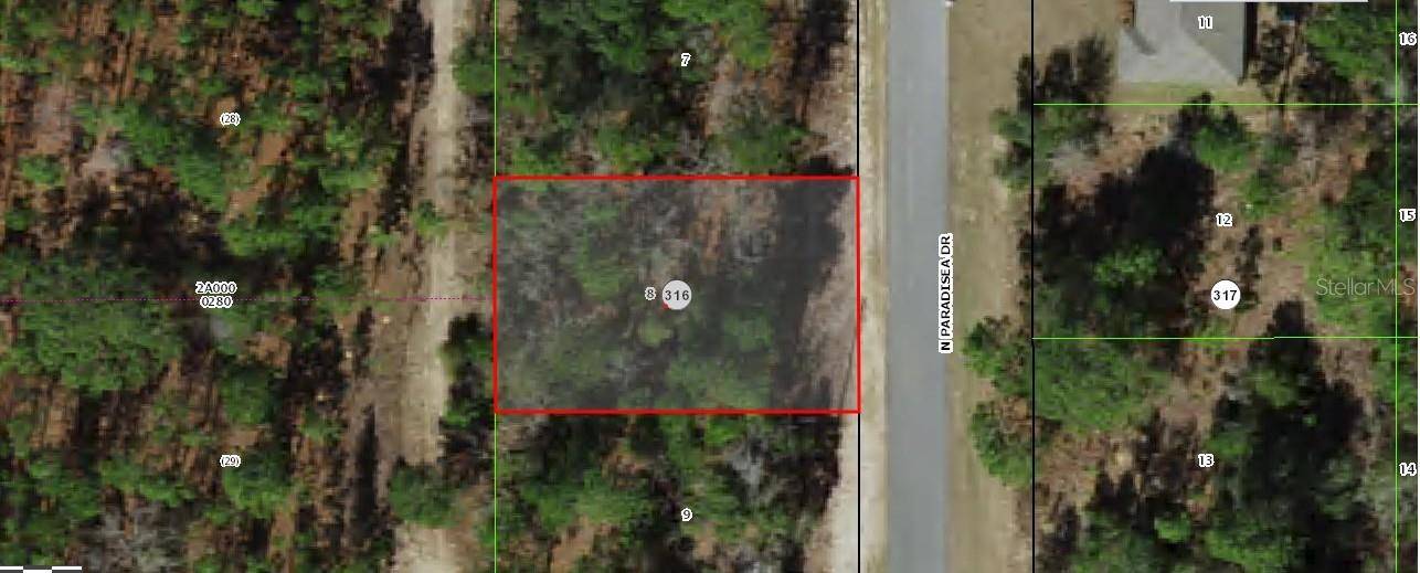 Citrus Springs, FL 34433,9120 N PARADISEA DR