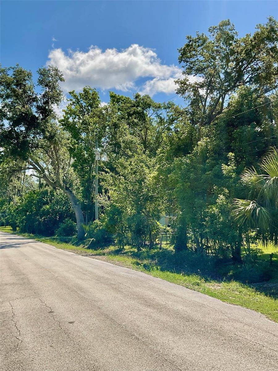 New Smyrna Beach, FL 32168,Address not disclosed